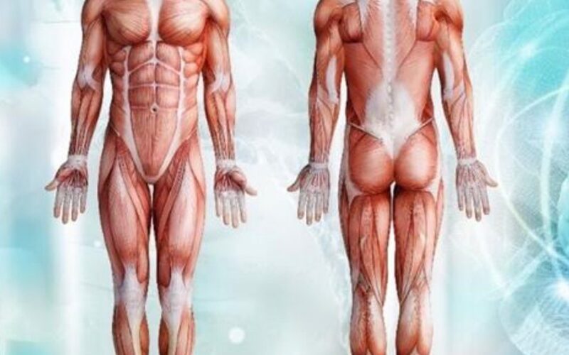 WAS IST MANUELLE SCHMERZTHERAPIE MST®