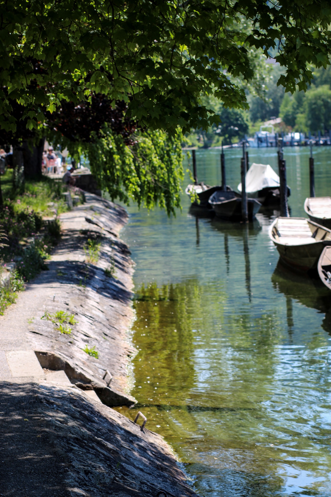 Eva Vassalli – Natur und Achtsamkeit am Rhein